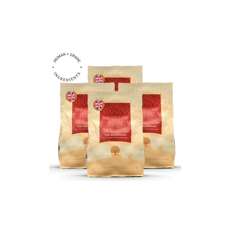 Lot de 4 x 2,5 THE BEGINNING PETIT CHIEN 2,5 Kg